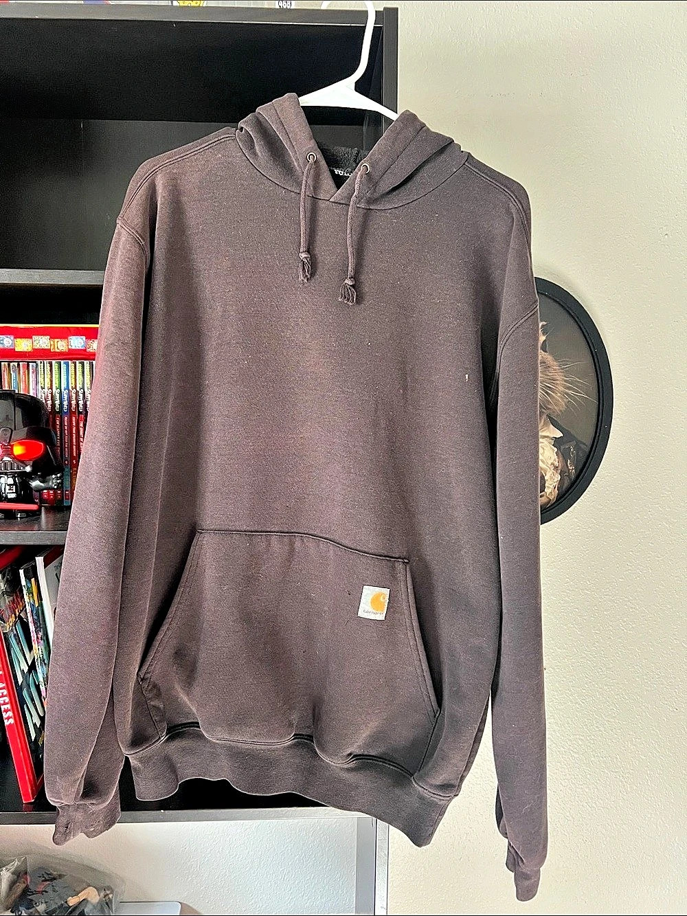 Carhartt Graphic Sleeve Pullover Hoodie in Brown